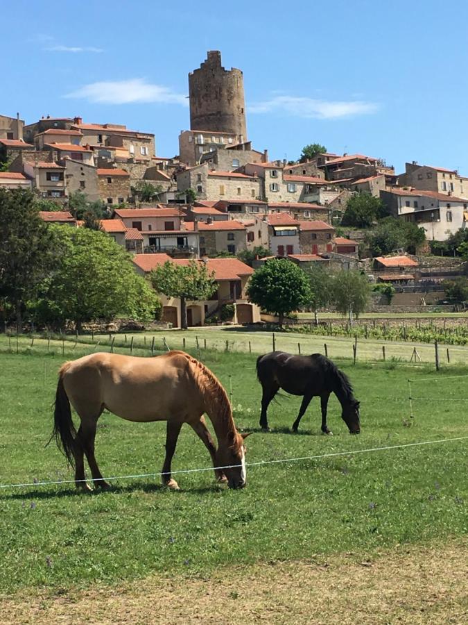 La Charmeraie Montpeyroux (Puy-de-Dome) Exterior foto